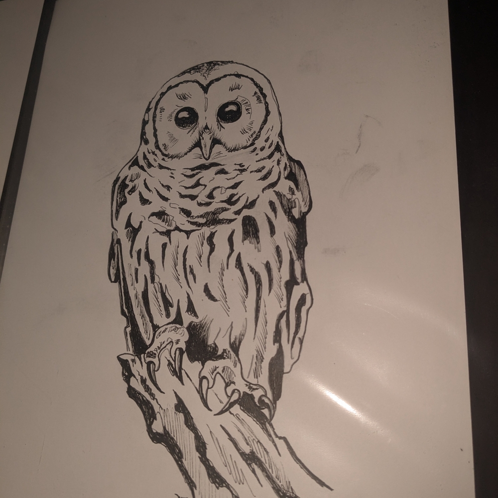 Monochrome Owl Illustration Art Print